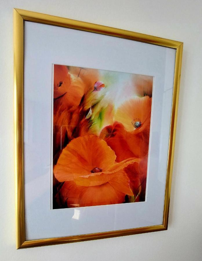 Les Belles Terrasses Dieppe ,3 Appartements , Le Vegetal De 1 A 8 Personnes , Le Tropical De 1 A 6 Personnes , Le Floral Avec Terrasse De 1 A 3 Personnes , Quartier Calme Au Stationnement Gratuit A Cote De L'Avenue Verte Bagian luar foto